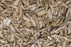 biomass boilers Pen Y Bont